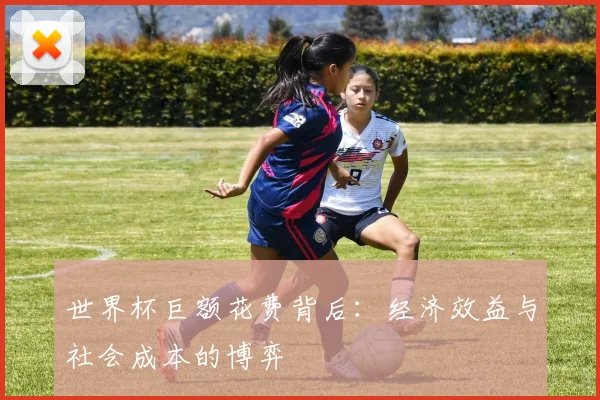世界杯巨额花费背后：经济效益与社会成本的博弈